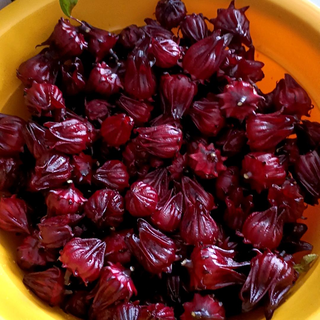 芯城（专业瓷砖美缝）