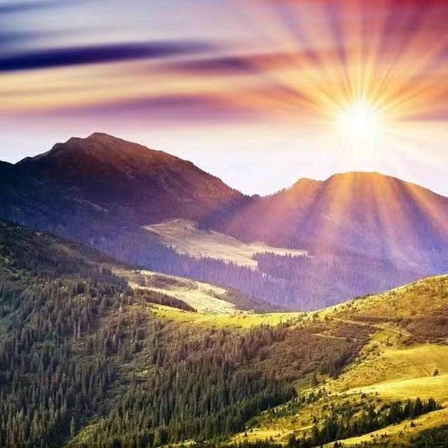 苹果🍎好物分享⁵