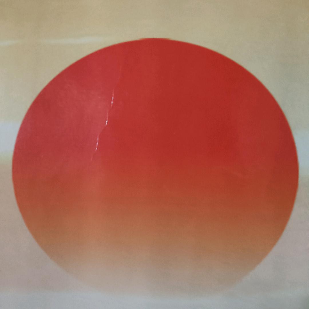 看见太阳红☀️