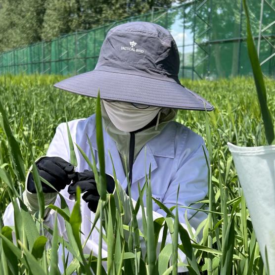 孙姐农资【好物都在橱窗】