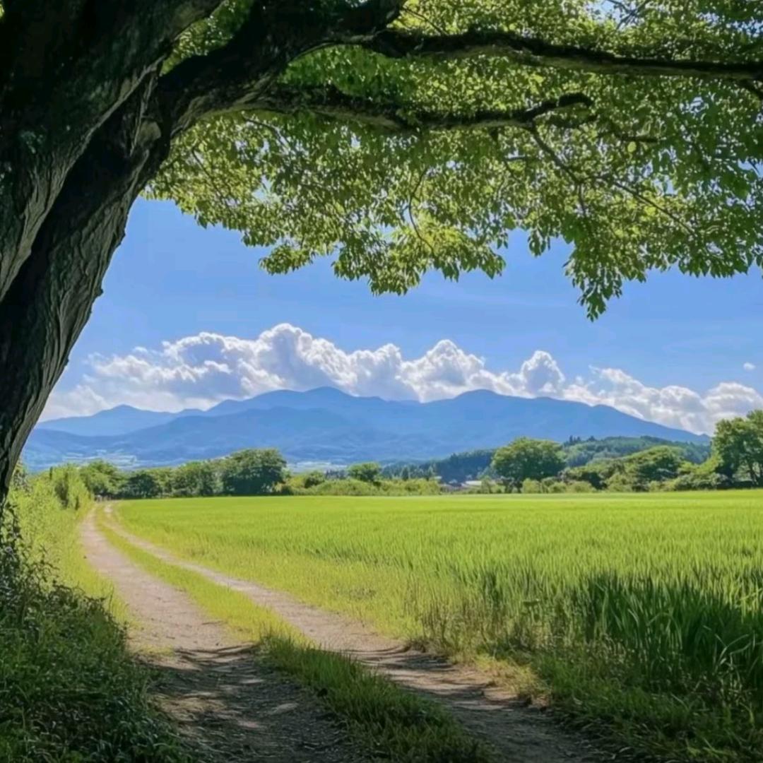 土壤听雨