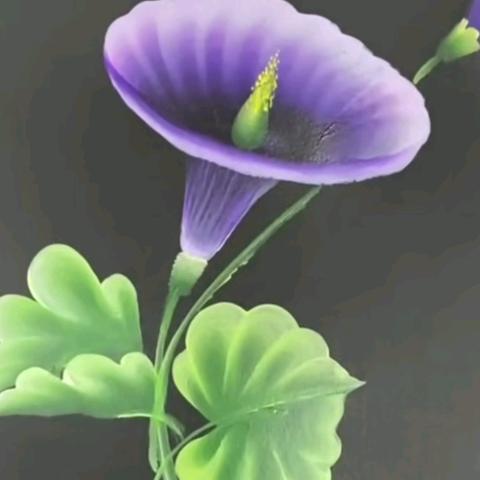 夕颜