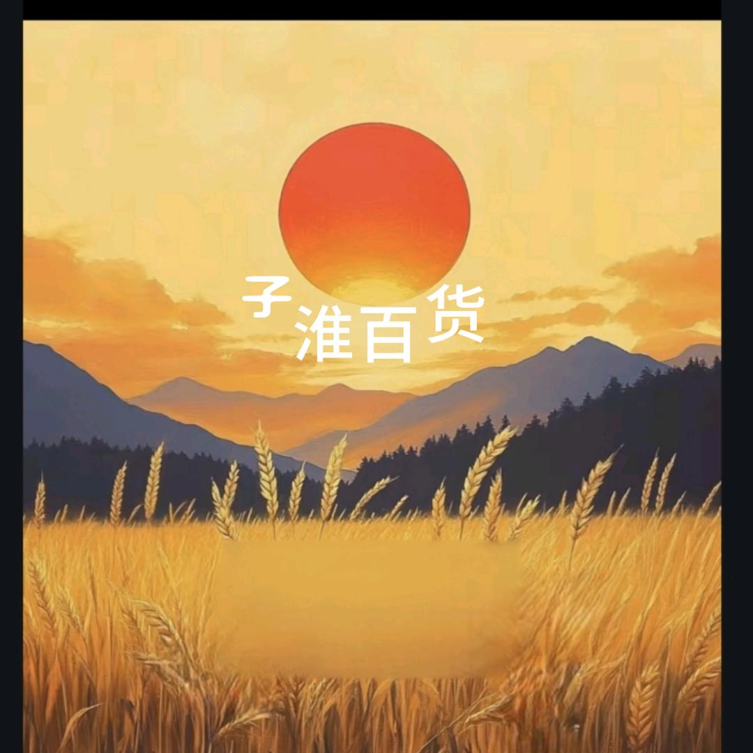 子淮百货优选
