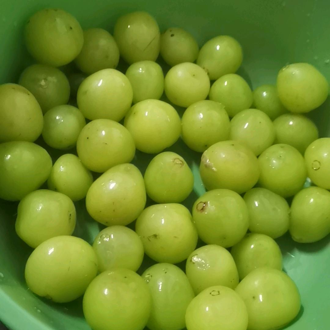 小鱼不吃🐟