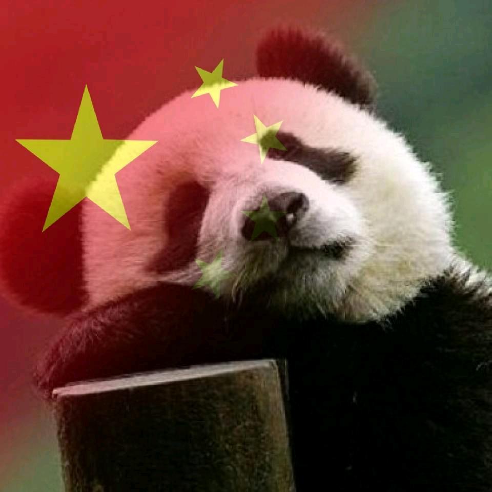 大风起兮云飞扬