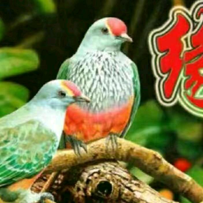 《平凡生活🍎》