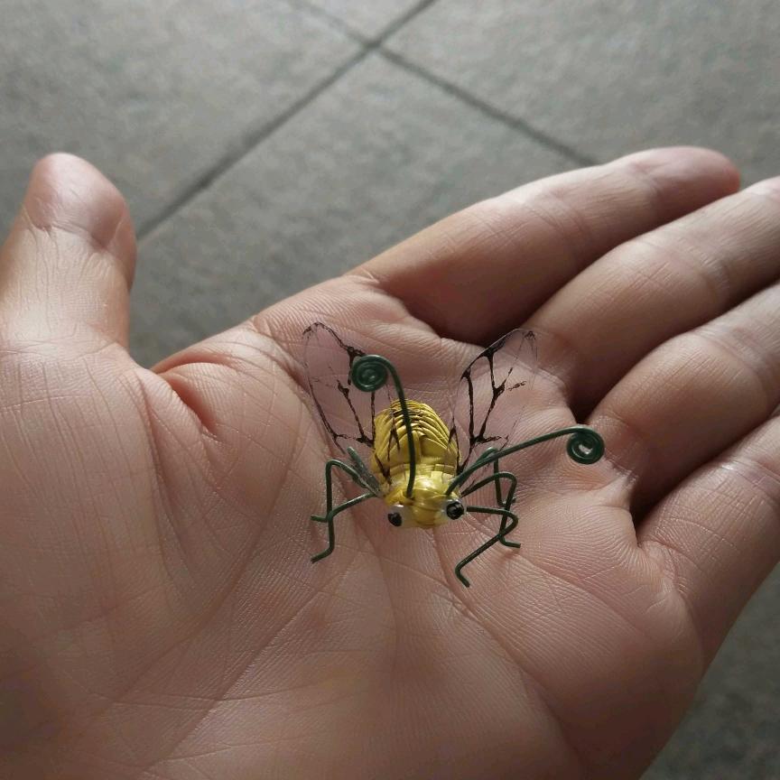 皮皮虾吖