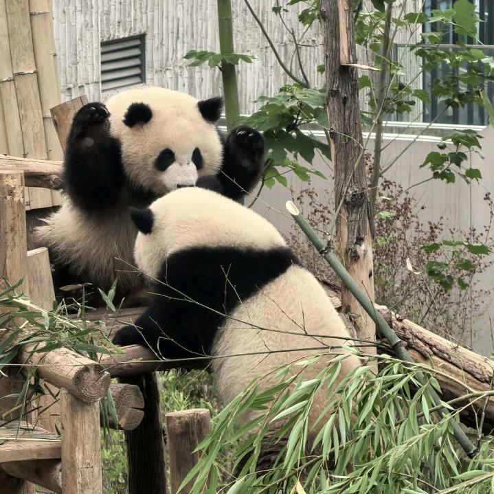 听说名字长会有傻子念