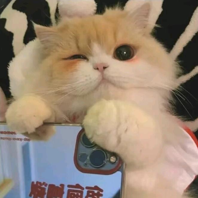 暮暮