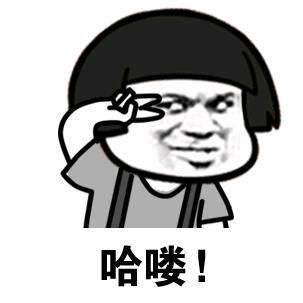 印第安老斑鸠