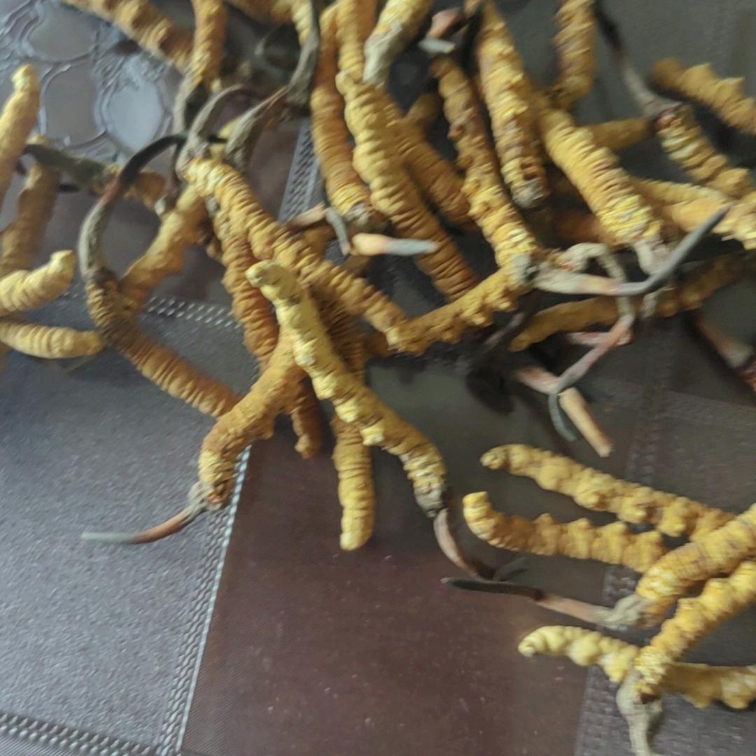 青海老王土特产