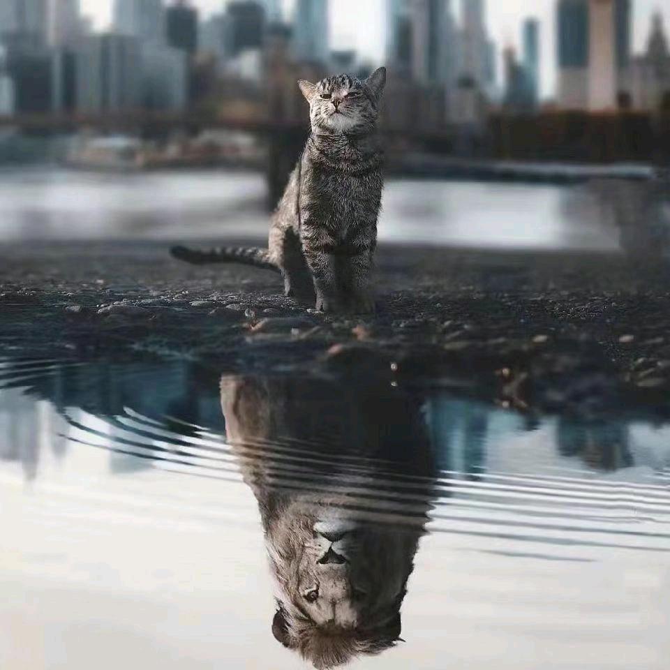 ℡失而才惜°