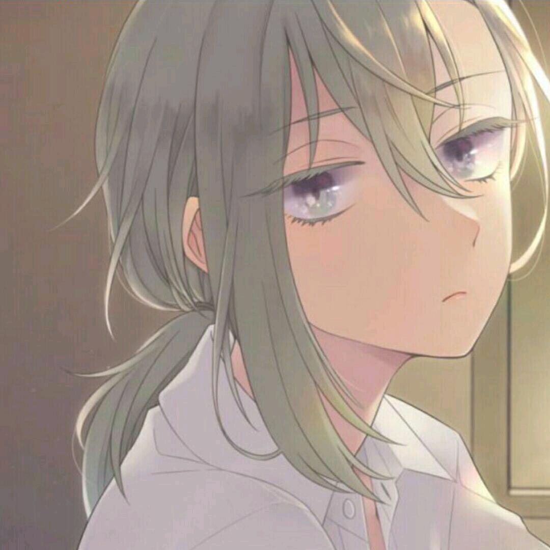 醉柳