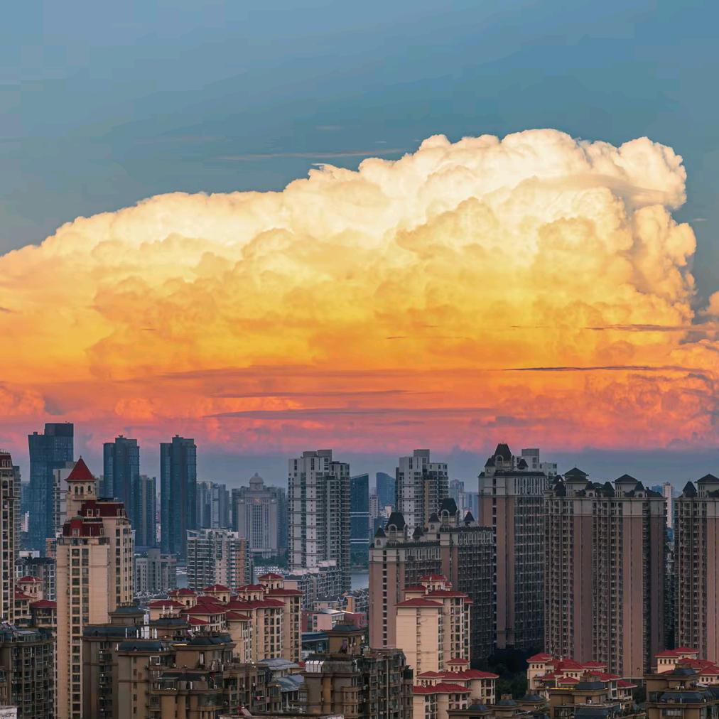 白小白，