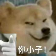 雪雨こん