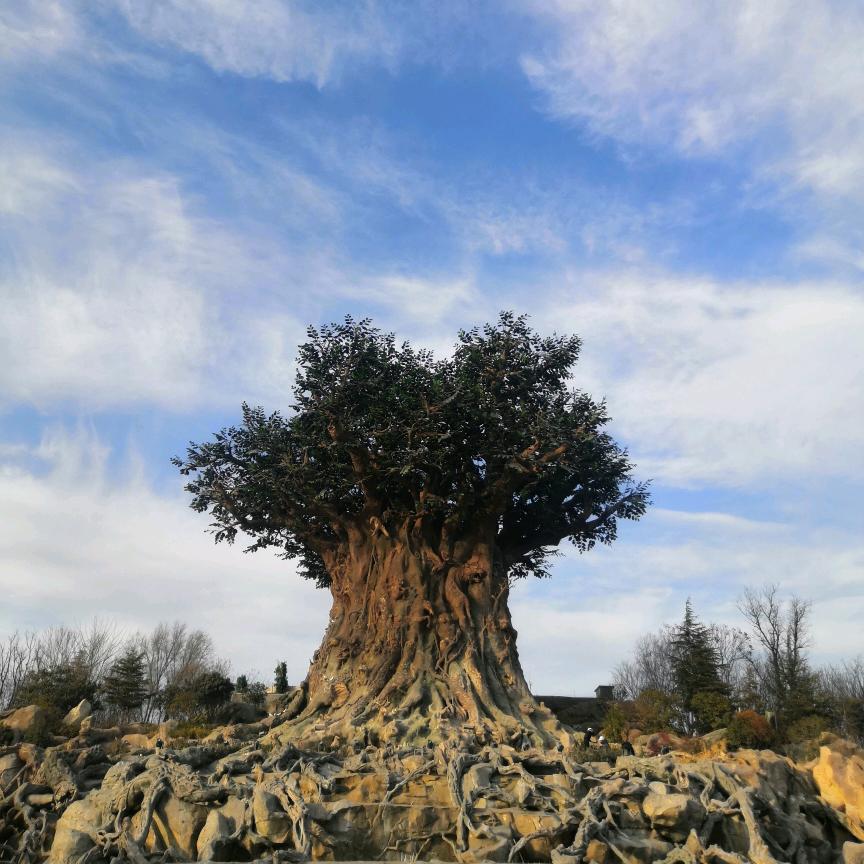 王家擀面皮麻辣烫官方号