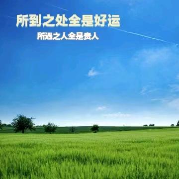 文虎