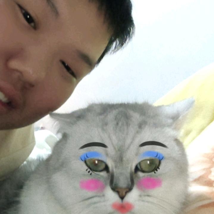 我和我的猫在景德镇闯荡