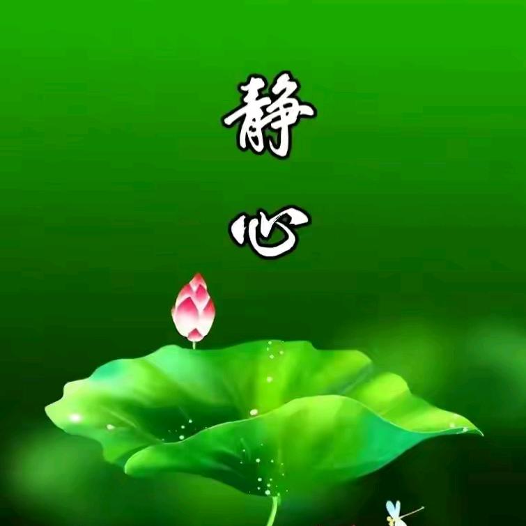 郑有才