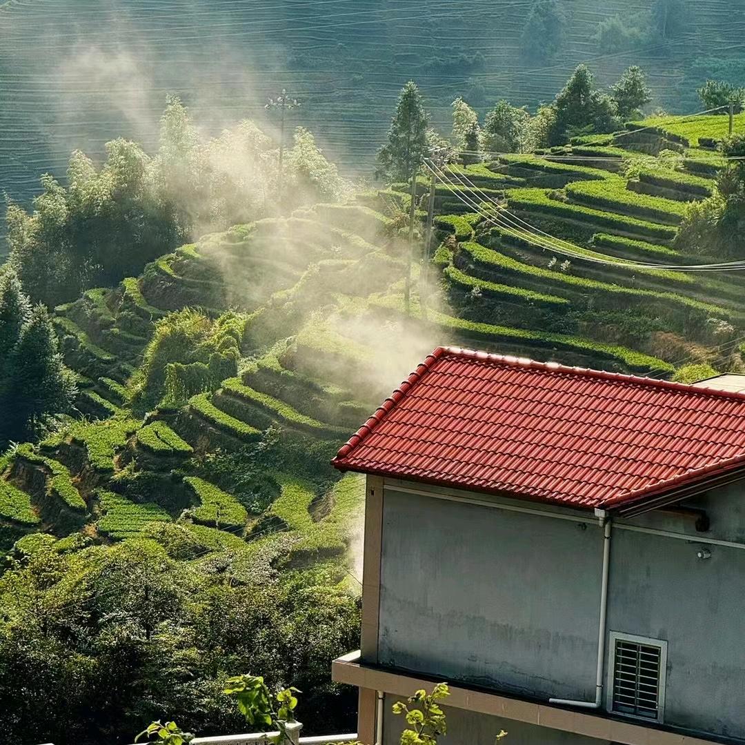 茶烟绕竹居🍵⁵⁰¹⁷