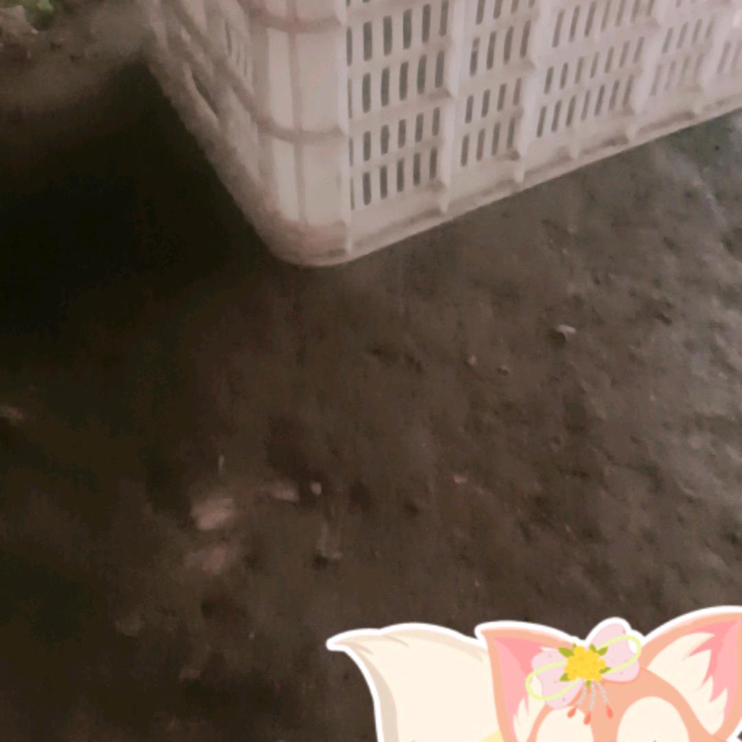 努力奋斗