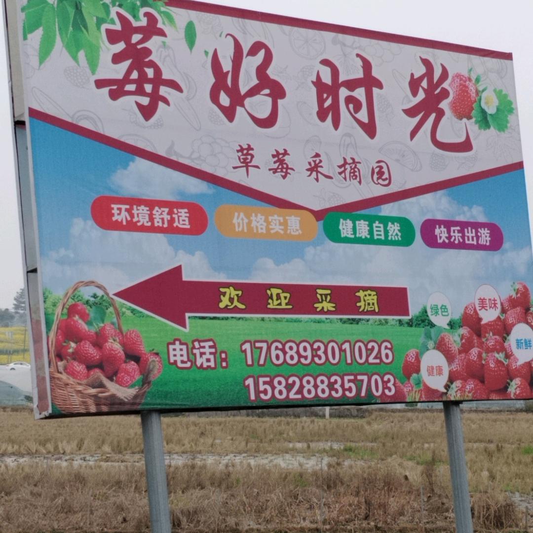 莓好时光草莓园（资中县）