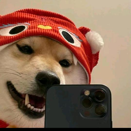 咸鱼梦想家