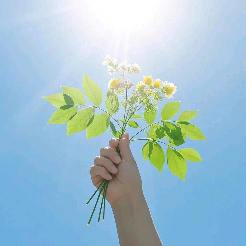 月光下的影子