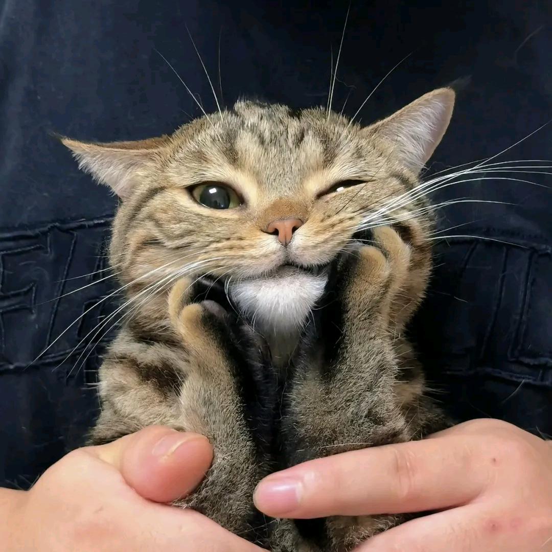 幸福 , 悲伤 ` 交叉口 ²1