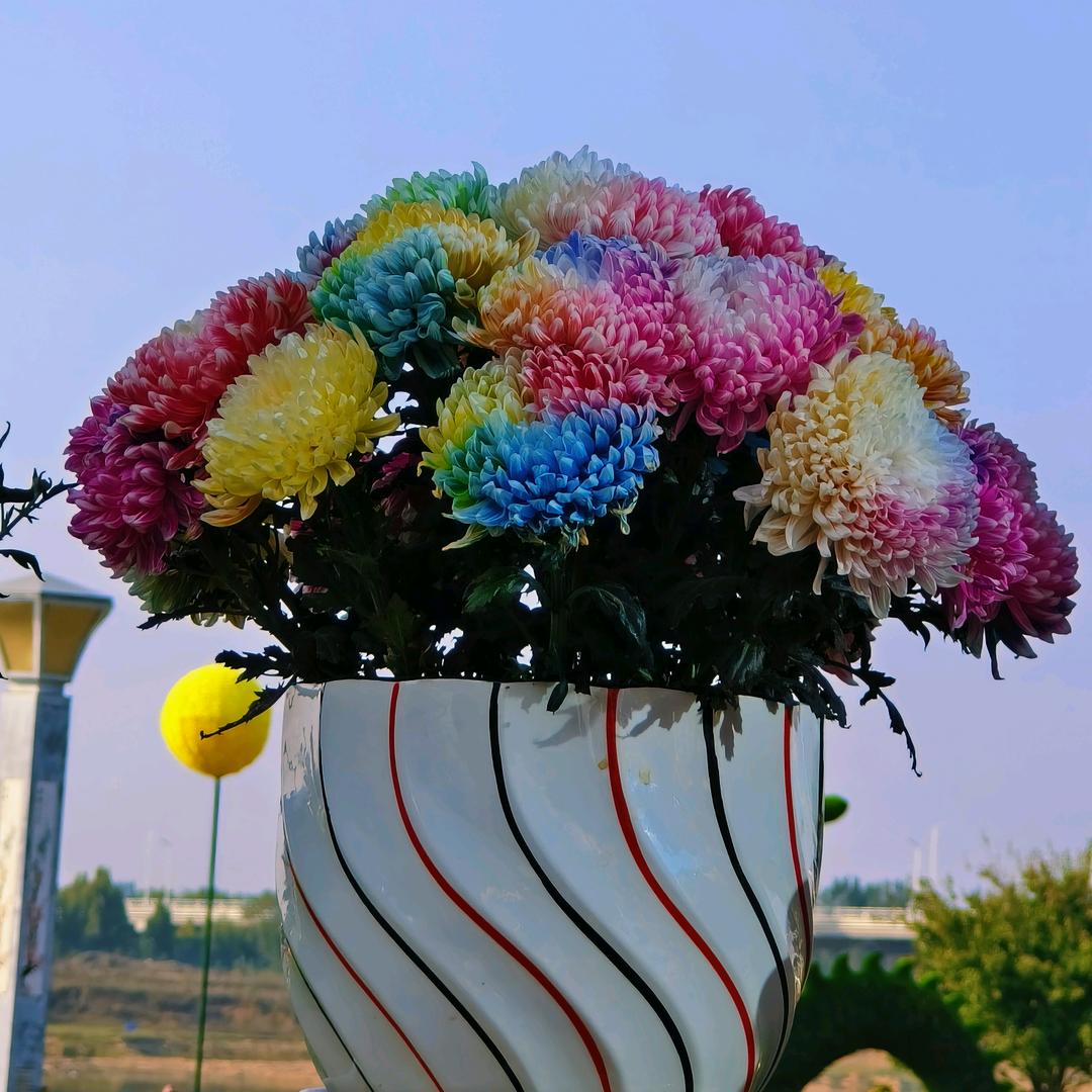 忘了过去一切从来✊✊✊