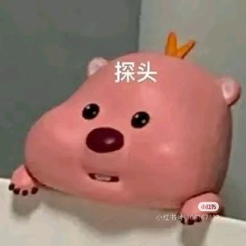 富贵花