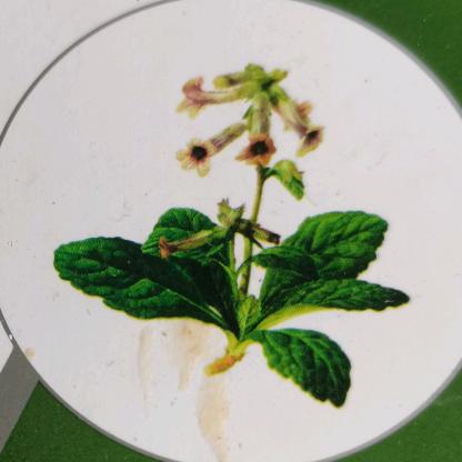 ☾⋆꯭᭄烛ึູ♡̶影ꦿོ