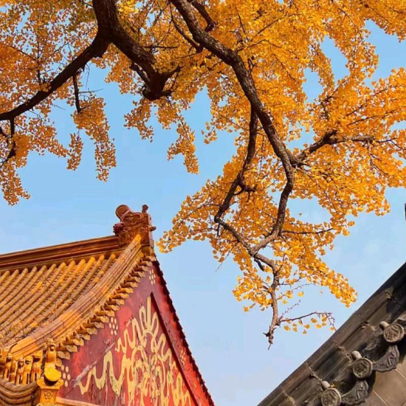 久易文化