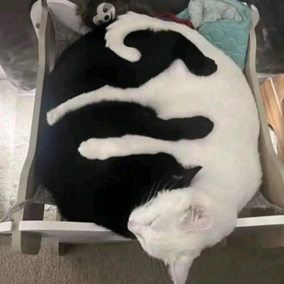 青草铁匠