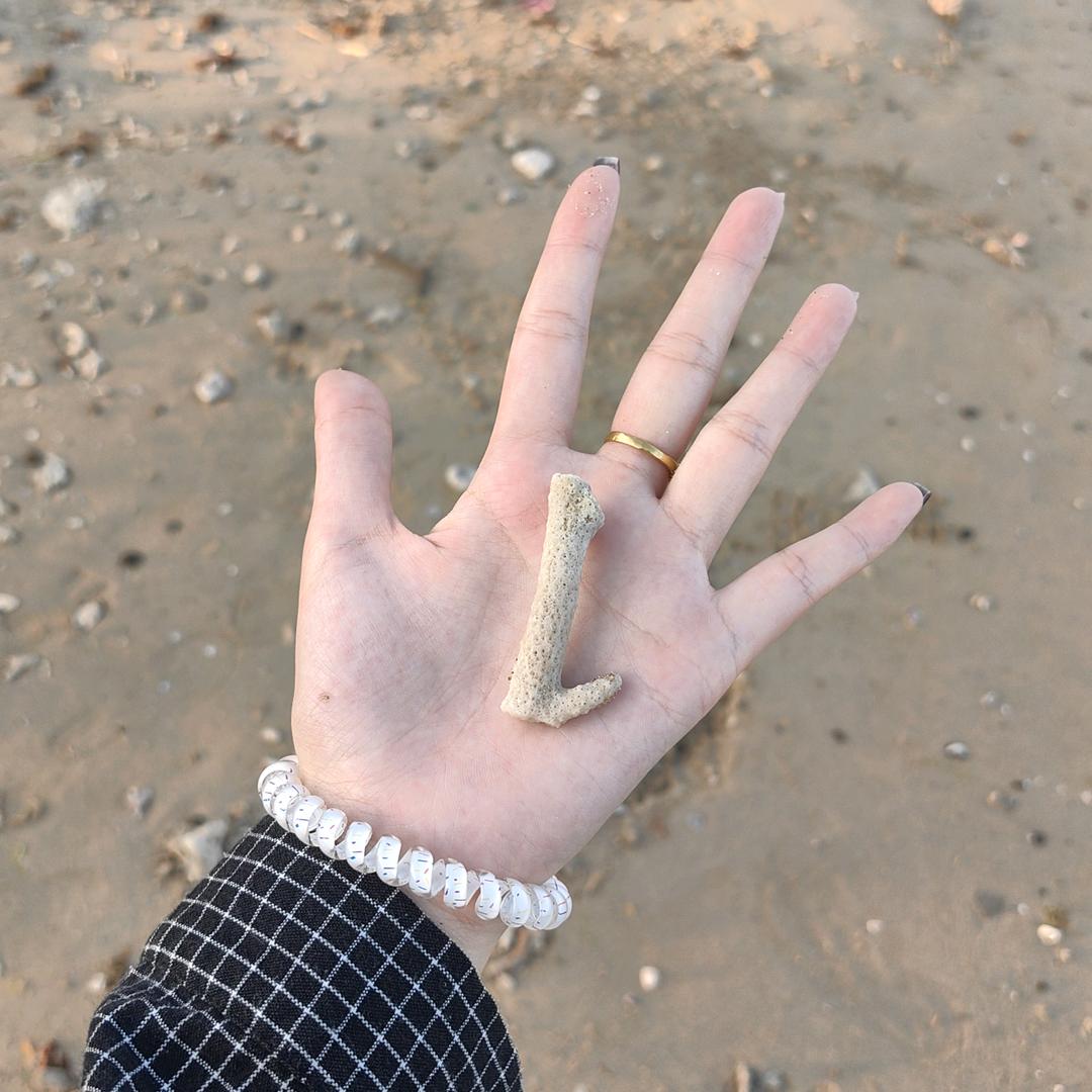马屁精