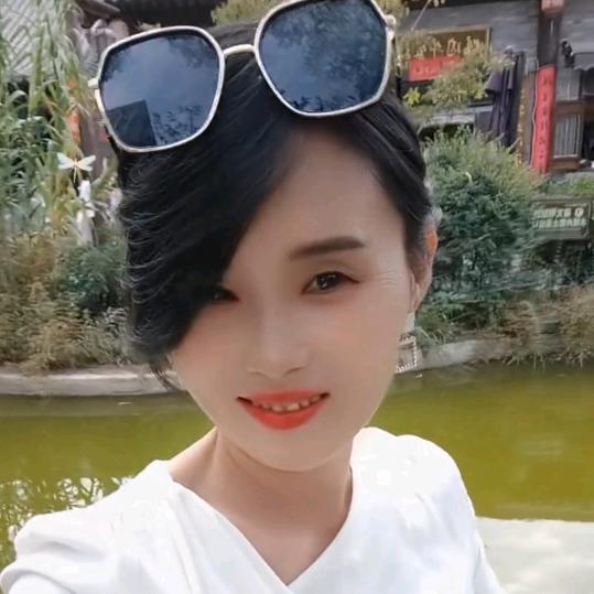 雨蝶