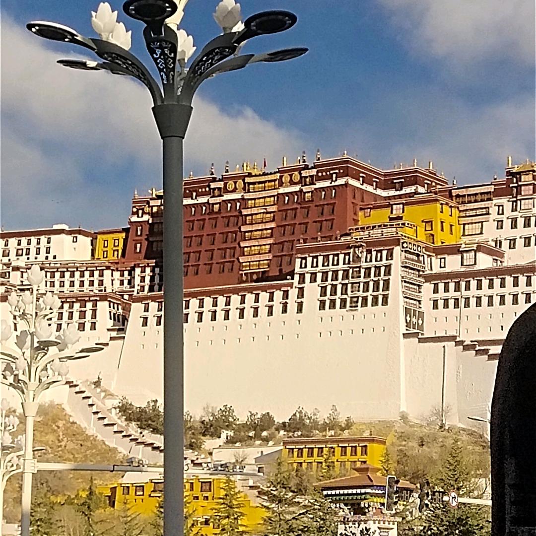 努力奋斗