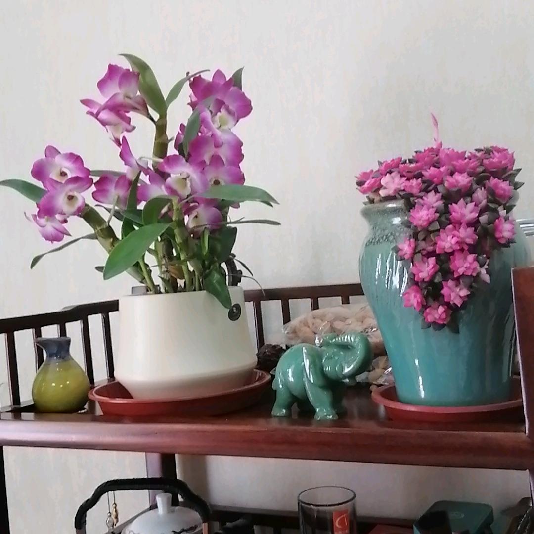 天津北辰区坤元养生服务店