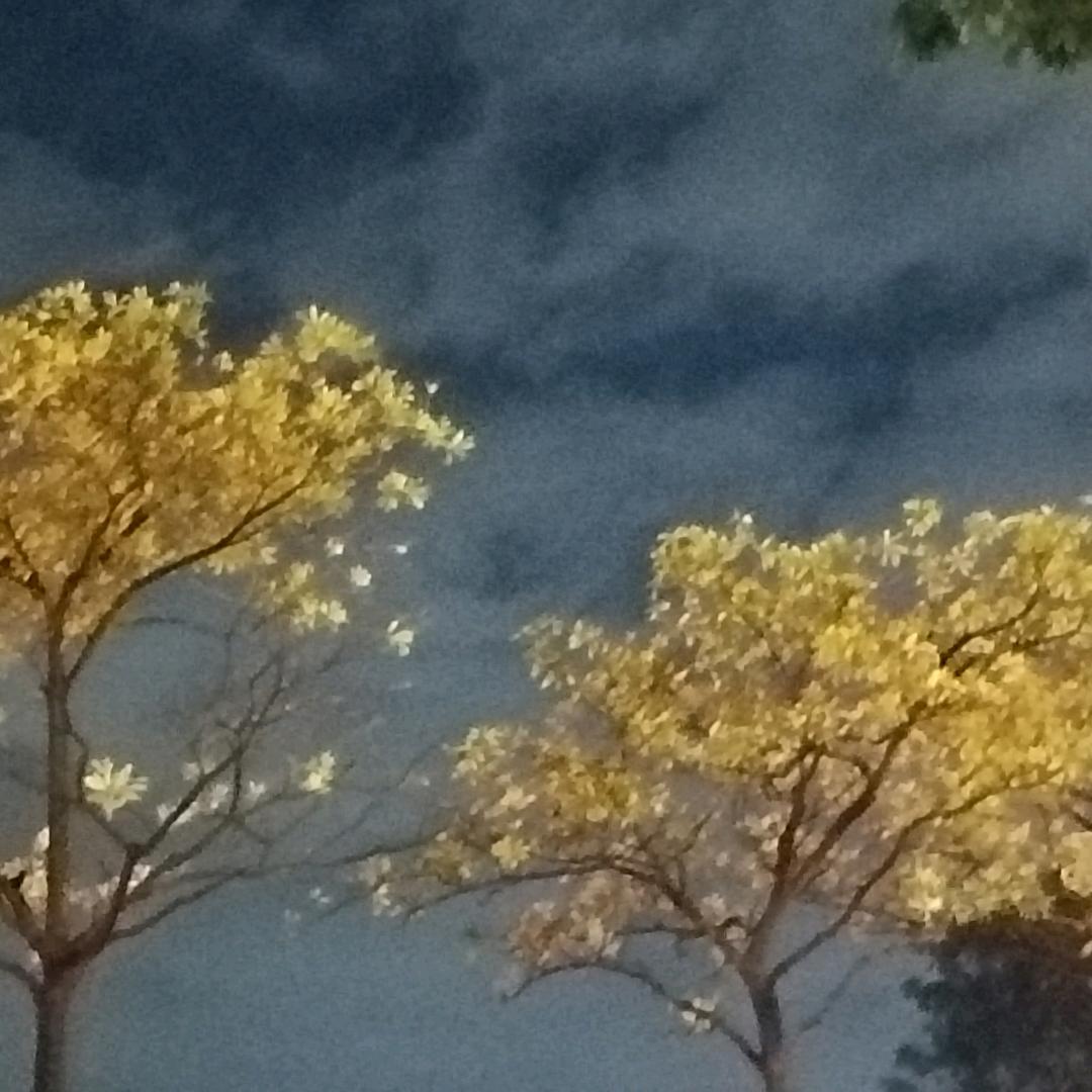 natural