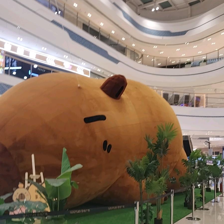 董事长货运国际有限公司