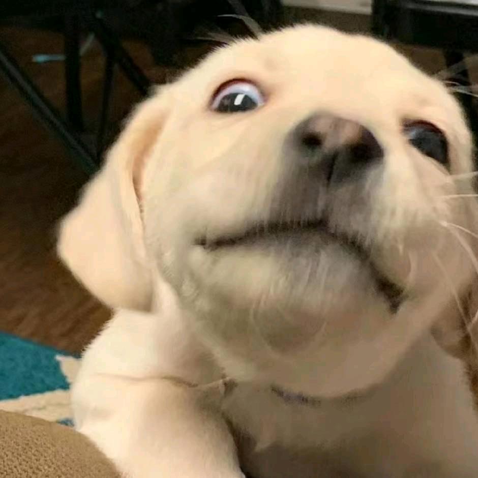 .…
