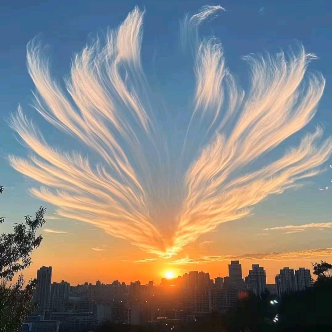 এ᭄时倾࿐