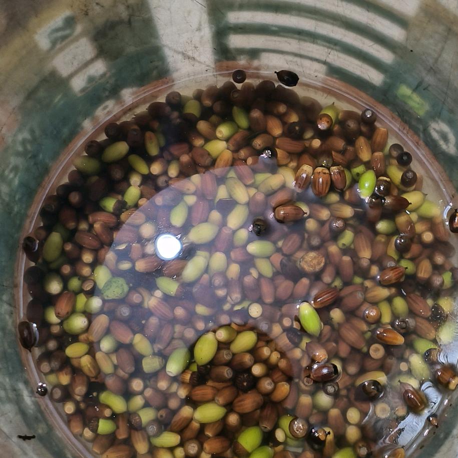 我梦想有缘