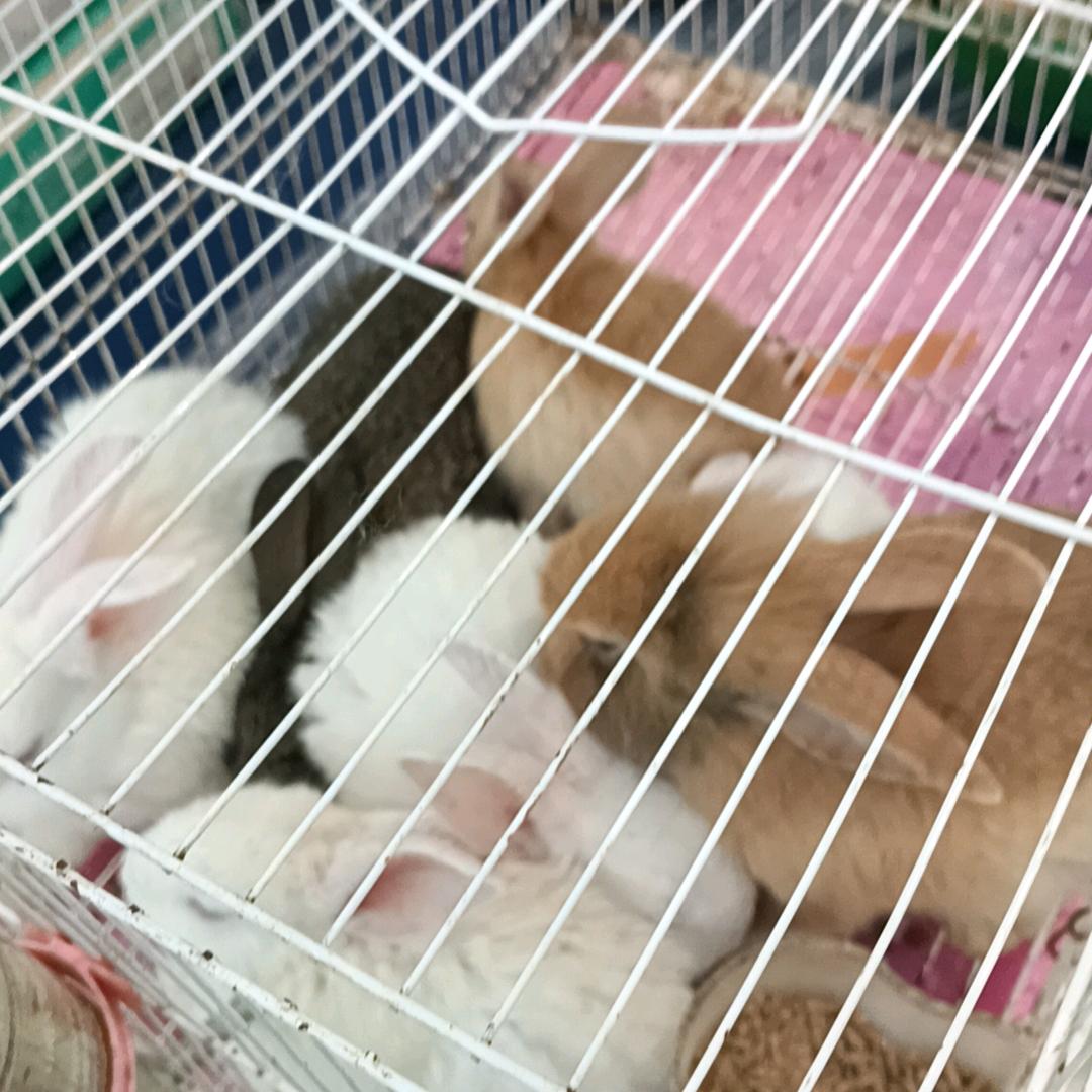 心态哥