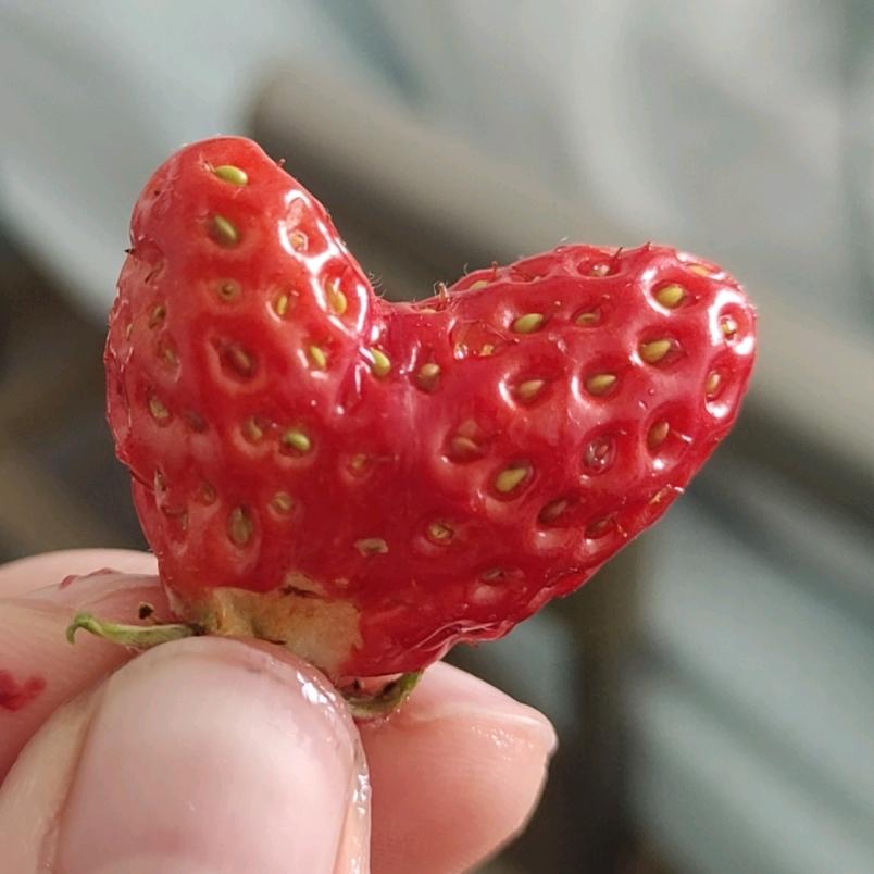 暖心ʕ ᵔᴥᵔ ʔ向阳