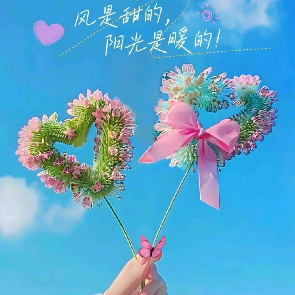 小阿丽✨✨