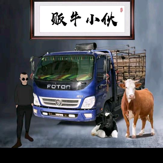 盘江牛羊交易市场小赵