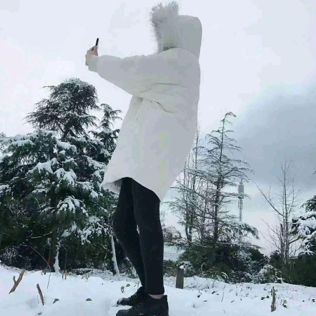 晓里姐