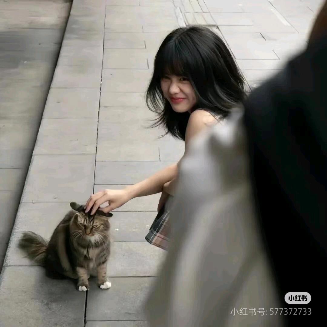 念礼