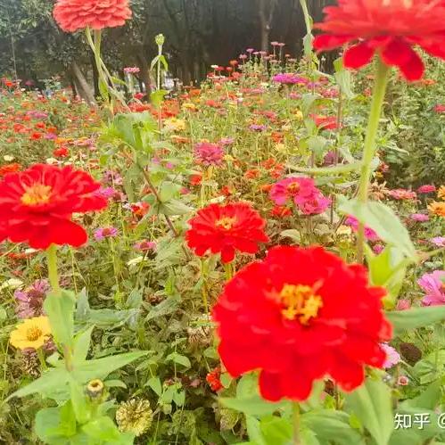 为了生活闯天涯